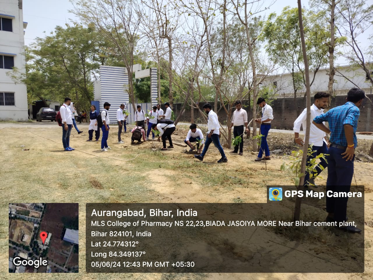 Environment Day
